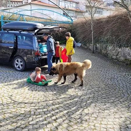 Casinhas Tilias Seia