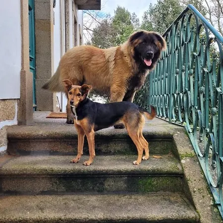 Casinhas Tilias Dom wakacyjny Seia