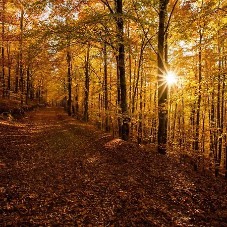 Сasa de vacaciones Casinhas Tílias