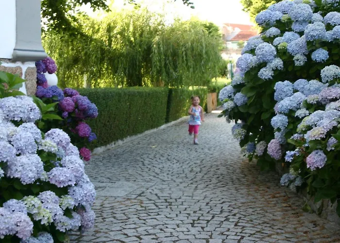 Дом отдыха Casinhas Tilias