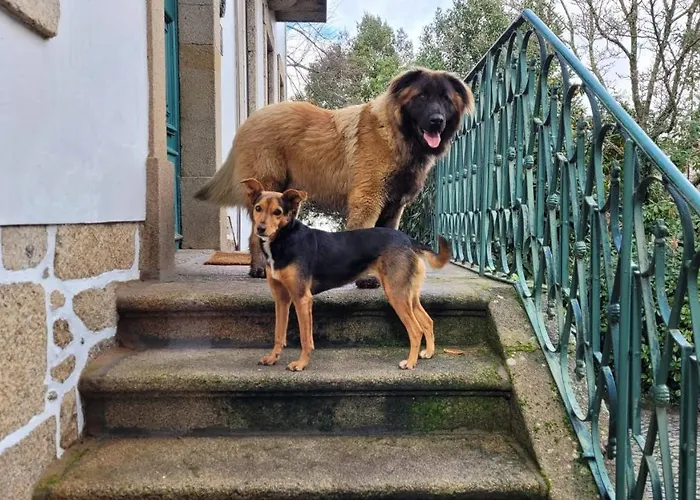 Casinhas Tilias Дом отдыха Сейя