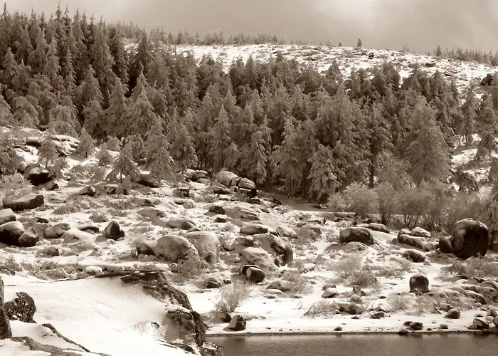 Casinhas Tilias Дом отдыха